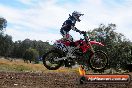 Champions Ride Days MotoX Broadford 01 12 2013 - 6CR_5714