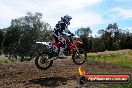 Champions Ride Days MotoX Broadford 01 12 2013 - 6CR_5715