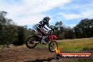 Champions Ride Days MotoX Broadford 01 12 2013 - 6CR_5757