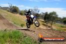 Champions Ride Days MotoX Broadford 01 12 2013 - 6CR_5762