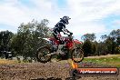 Champions Ride Days MotoX Broadford 01 12 2013 - 6CR_5776