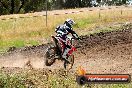 Champions Ride Days MotoX Broadford 01 12 2013 - 6CR_5813