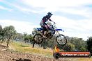 Champions Ride Days MotoX Broadford 01 12 2013 - 6CR_5817