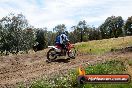 Champions Ride Days MotoX Broadford 01 12 2013 - 6CR_5844