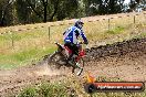 Champions Ride Days MotoX Broadford 01 12 2013 - 6CR_5846