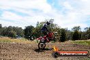 Champions Ride Days MotoX Broadford 01 12 2013 - 6CR_5857