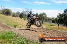 Champions Ride Days MotoX Broadford 01 12 2013 - 6CR_5865