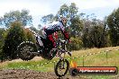 Champions Ride Days MotoX Broadford 01 12 2013 - 6CR_5888