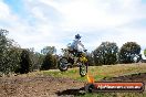 Champions Ride Days MotoX Broadford 01 12 2013 - 6CR_5909