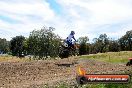 Champions Ride Days MotoX Broadford 01 12 2013 - 6CR_5918