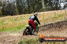 Champions Ride Days MotoX Broadford 01 12 2013 - 6CR_5930
