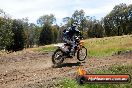 Champions Ride Days MotoX Broadford 01 12 2013 - 6CR_5938