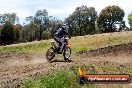 Champions Ride Days MotoX Broadford 01 12 2013 - 6CR_5939