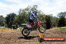 Champions Ride Days MotoX Broadford 01 12 2013 - 6CR_5965