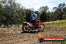 Champions Ride Days MotoX Broadford 01 12 2013 - 6CR_5966