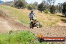 Champions Ride Days MotoX Broadford 01 12 2013 - 6CR_5969