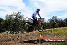 Champions Ride Days MotoX Broadford 01 12 2013 - 6CR_5983