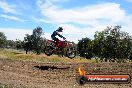 Champions Ride Days MotoX Broadford 01 12 2013 - 6CR_5989