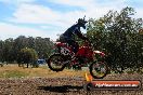 Champions Ride Days MotoX Broadford 01 12 2013 - 6CR_5990
