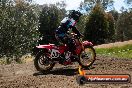 Champions Ride Days MotoX Broadford 01 12 2013 - 6CR_5992