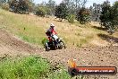 Champions Ride Days MotoX Broadford 01 12 2013 - 6CR_5994