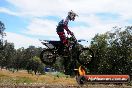 Champions Ride Days MotoX Broadford 01 12 2013 - 6CR_5998