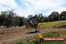 Champions Ride Days MotoX Broadford 01 12 2013 - 6CR_6005