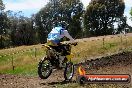 Champions Ride Days MotoX Broadford 01 12 2013 - 6CR_6030