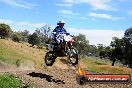 Champions Ride Days MotoX Broadford 01 12 2013 - 6CR_6033