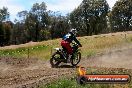 Champions Ride Days MotoX Broadford 01 12 2013 - 6CR_6046