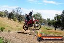 Champions Ride Days MotoX Broadford 01 12 2013 - 6CR_6048