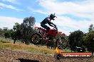 Champions Ride Days MotoX Broadford 01 12 2013 - 6CR_6049