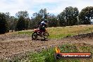 Champions Ride Days MotoX Broadford 01 12 2013 - 6CR_6052