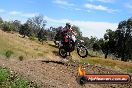 Champions Ride Days MotoX Broadford 01 12 2013 - 6CR_6055