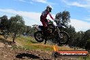 Champions Ride Days MotoX Broadford 01 12 2013 - 6CR_6056