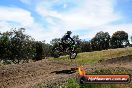 Champions Ride Days MotoX Broadford 01 12 2013 - 6CR_6067