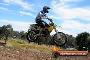 Champions Ride Days MotoX Broadford 01 12 2013 - 6CR_6072