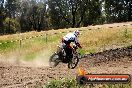 Champions Ride Days MotoX Broadford 01 12 2013 - 6CR_6089