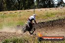 Champions Ride Days MotoX Broadford 01 12 2013 - 6CR_6090