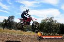 Champions Ride Days MotoX Broadford 01 12 2013 - 6CR_6099
