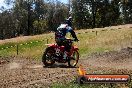 Champions Ride Days MotoX Broadford 01 12 2013 - 6CR_6103