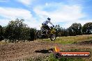 Champions Ride Days MotoX Broadford 01 12 2013 - 6CR_6114