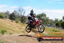 Champions Ride Days MotoX Broadford 01 12 2013 - 6CR_6126