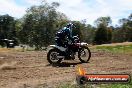 Champions Ride Days MotoX Broadford 01 12 2013 - 6CR_6144