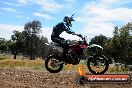 Champions Ride Days MotoX Broadford 01 12 2013 - 6CR_6157
