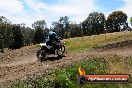 Champions Ride Days MotoX Broadford 01 12 2013 - 6CR_6160