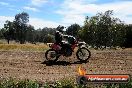 Champions Ride Days MotoX Broadford 01 12 2013 - 6CR_6166