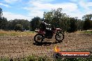 Champions Ride Days MotoX Broadford 01 12 2013 - 6CR_6167