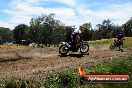 Champions Ride Days MotoX Broadford 01 12 2013 - 6CR_6177