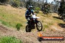 Champions Ride Days MotoX Broadford 01 12 2013 - 6CR_6181